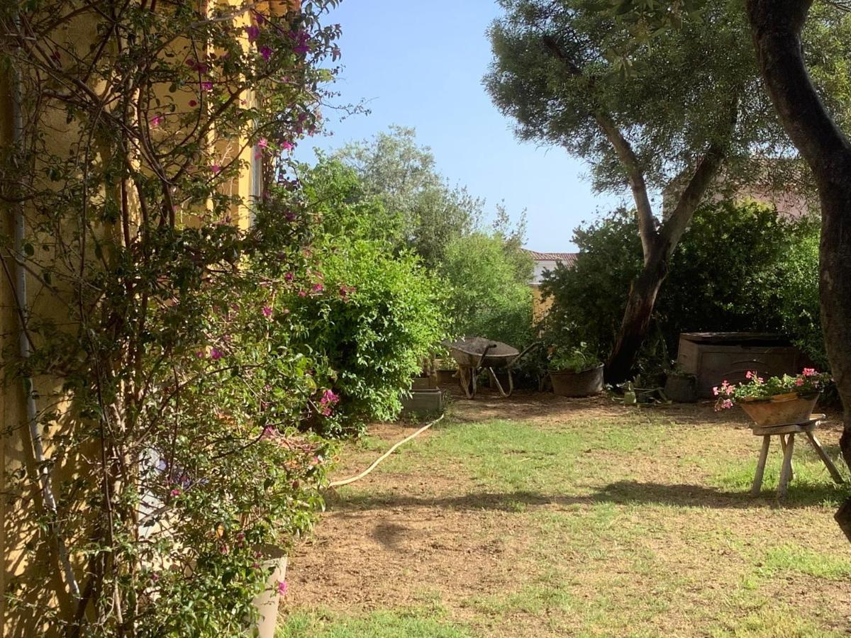 Chambres De La Terre Blanche Sanary-sur-Mer Buitenkant foto